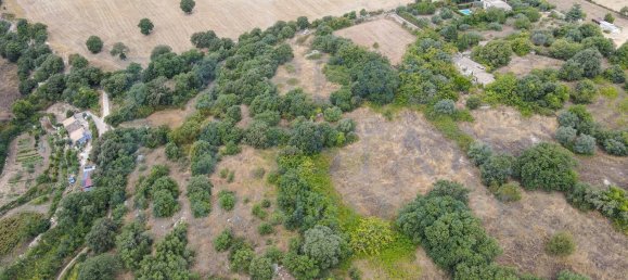 Studio in Noto, Italy, Nr. 278419 16