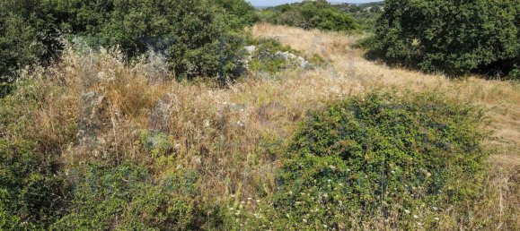 Studio in Noto, Italy, Nr. 278419 15