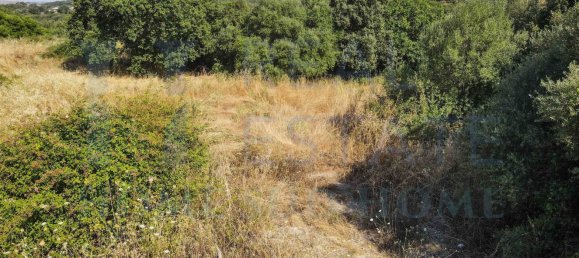 Studio in Noto, Italy, Nr. 278419 28