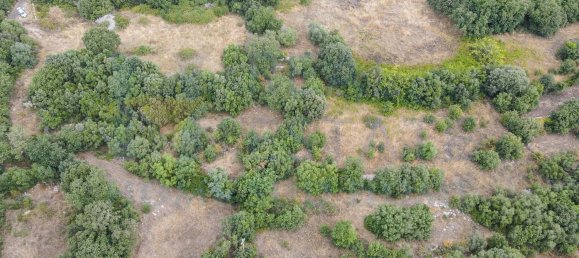 Studio in Noto, Italy, Nr. 278419 18