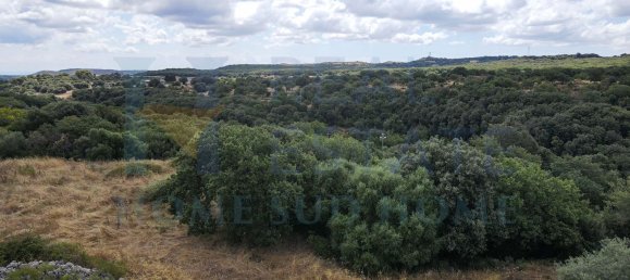 Studio in Noto, Italy, Nr. 278419 19