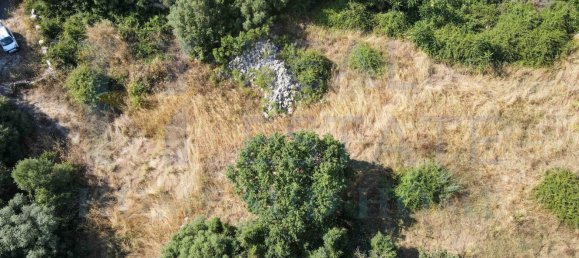 Studio in Noto, Italy, Nr. 278419 30