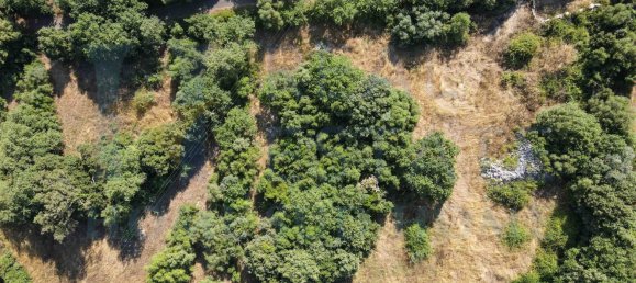 Studio in Noto, Italy, Nr. 278419 14