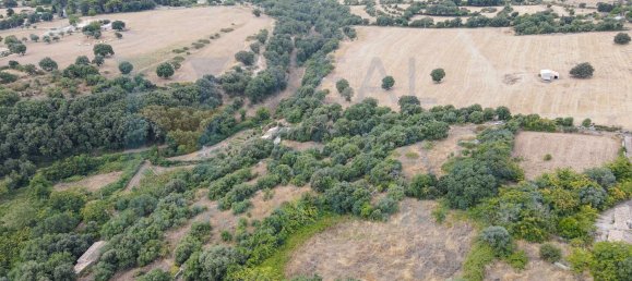 Studio in Noto, Italy, Nr. 278419 17