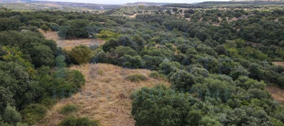 Studio in Noto, Italy, Nr. 278419 21