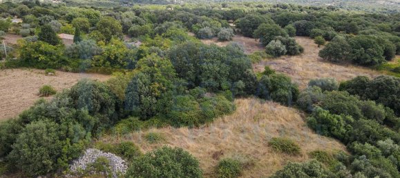 Studio in Noto, Italy, Nr. 278419 6