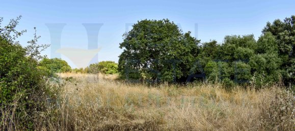 Studio in Noto, Italy, Nr. 278419 26