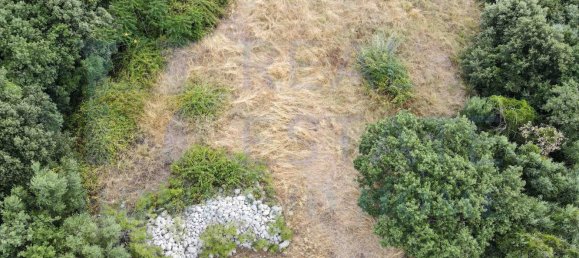 Studio in Noto, Italy, Nr. 278419 13