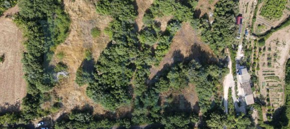 Studio in Noto, Italy, Nr. 278419 2