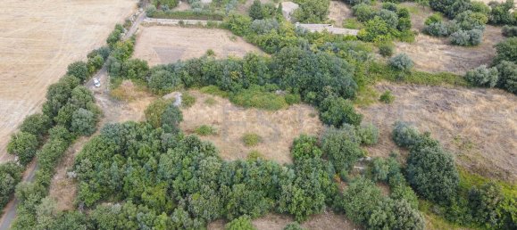 Studio in Noto, Italy, Nr. 278419 11