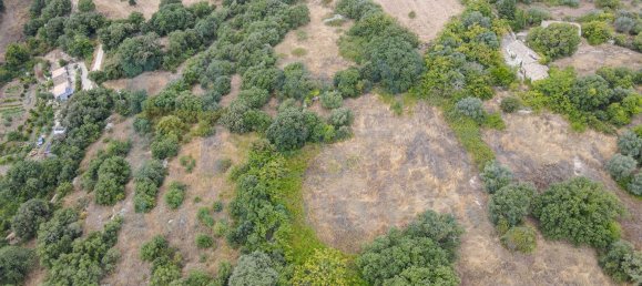 Studio in Noto, Italy, Nr. 278419 5