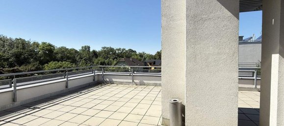 3 rooms Apartment in Munchendorf, Austria No. 150183 5