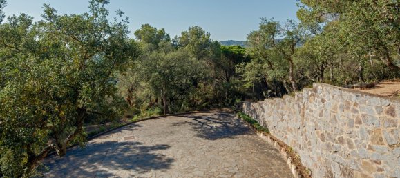 5 bedrooms Villa in Castell-Platja d'Aro, Spain No. 43676 21