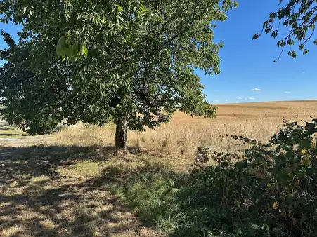  Land in Saalekreis, Germany No. 362398