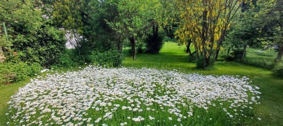 7غرفة منزل في Dobersberg, Austria رقم 10698 3