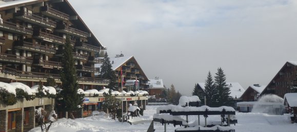 3 rooms Commercial property in Ayent, Switzerland No. 458 8