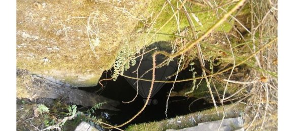 3 bedrooms House in Proenca a Nova, Portugal No. 32577 28