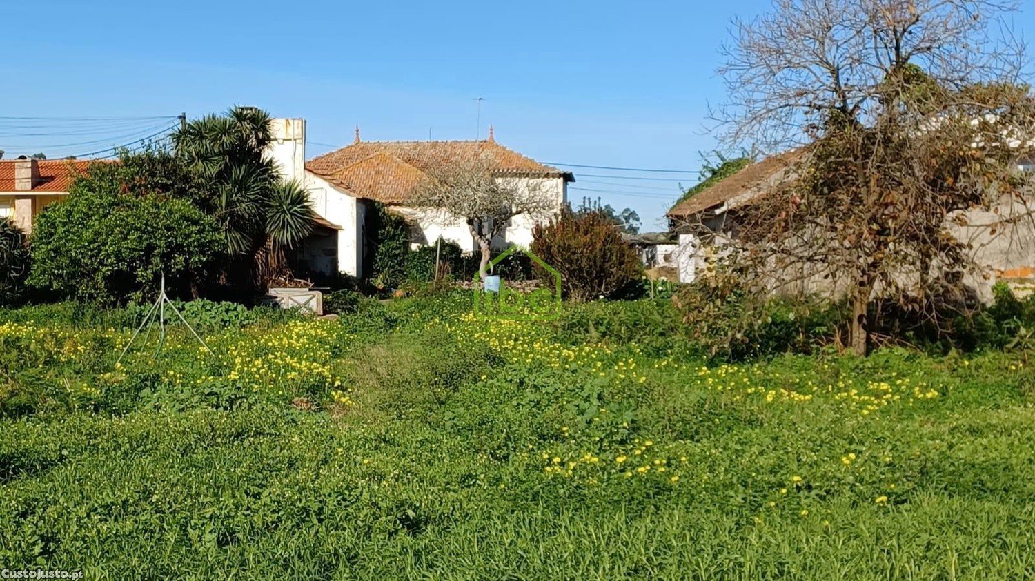 1163m² Land in Arvore, Portugal No. 52146