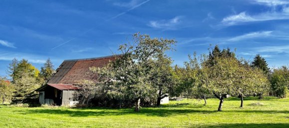 3 rooms House in Prignitz, Germany No. 66302 14