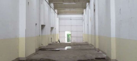 Almacén en Luserna San Giovanni, Italy 1578 m² No. 265175 3