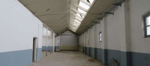 Almacén en Luserna San Giovanni, Italy 1578 m² No. 265175 8