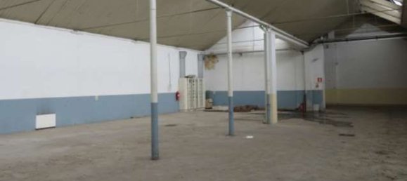 Almacén en Luserna San Giovanni, Italy 1578 m² No. 265175 7