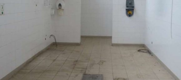 Almacén en Luserna San Giovanni, Italy 1578 m² No. 265175 10