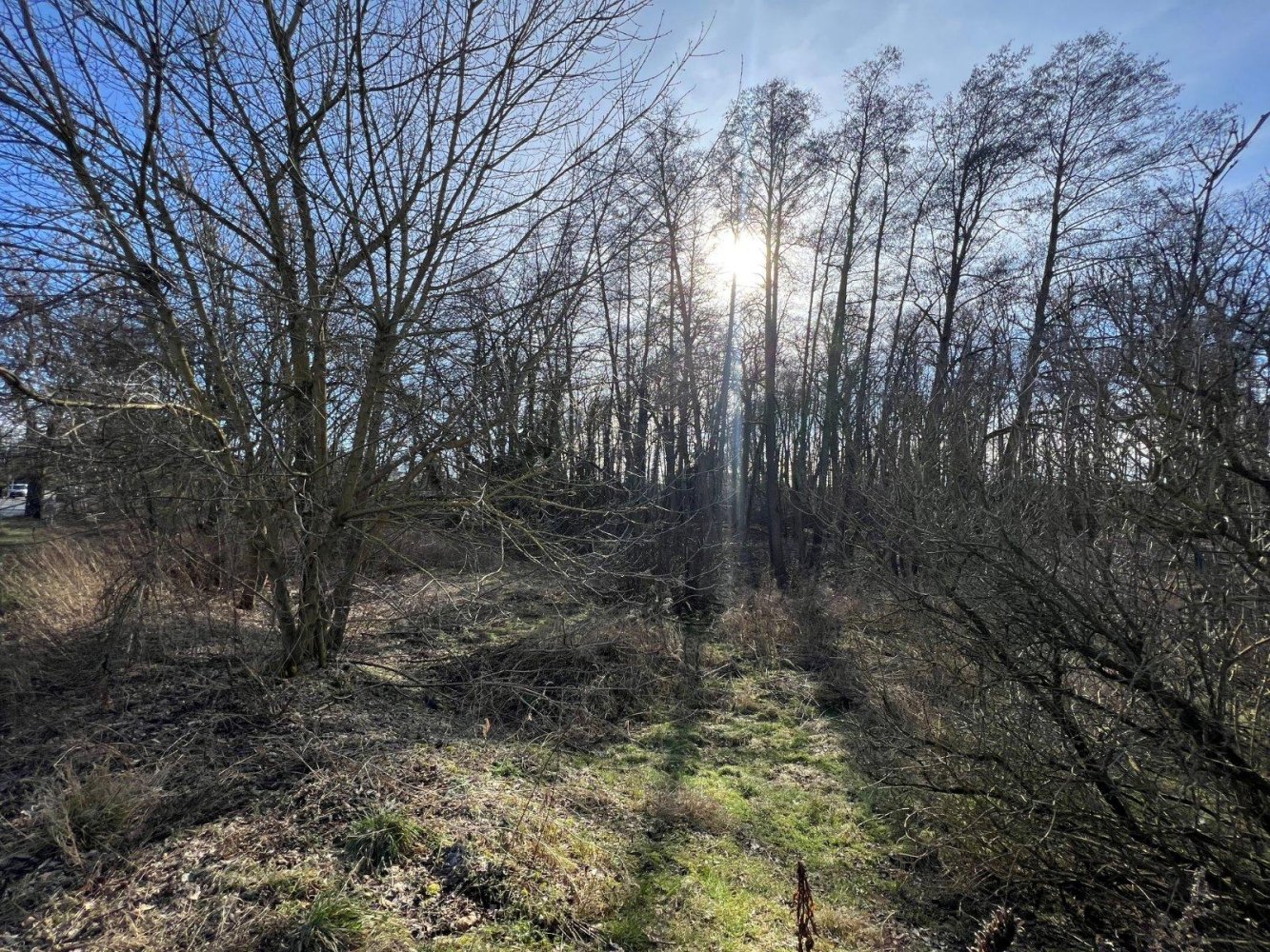 Земельный участок в Oberhavel, Германия № 45074