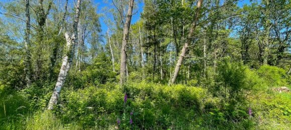 Terreno em Romorantin-Lanthenay, France 6550 m² N.º 154101 2