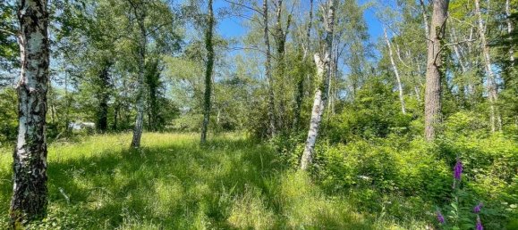 Terreno em Romorantin-Lanthenay, France 6550 m² N.º 154101 3