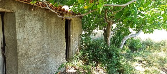 2-salle Maison à Messina, Italy No. 263904 12