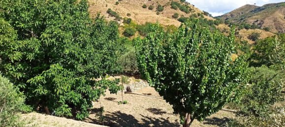 2-salle Maison à Messina, Italy No. 263904 21