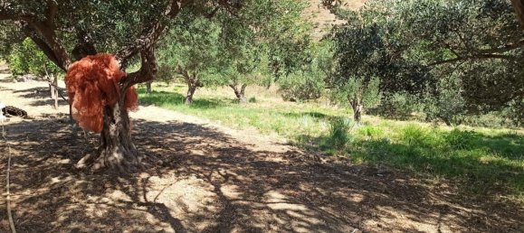 2-salle Maison à Messina, Italy No. 263904 22