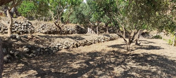 2-salle Maison à Messina, Italy No. 263904 13