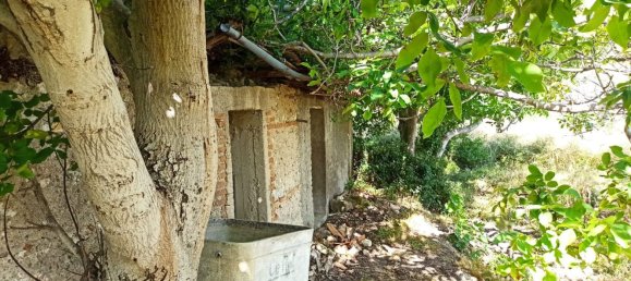 2-salle Maison à Messina, Italy No. 263904 19