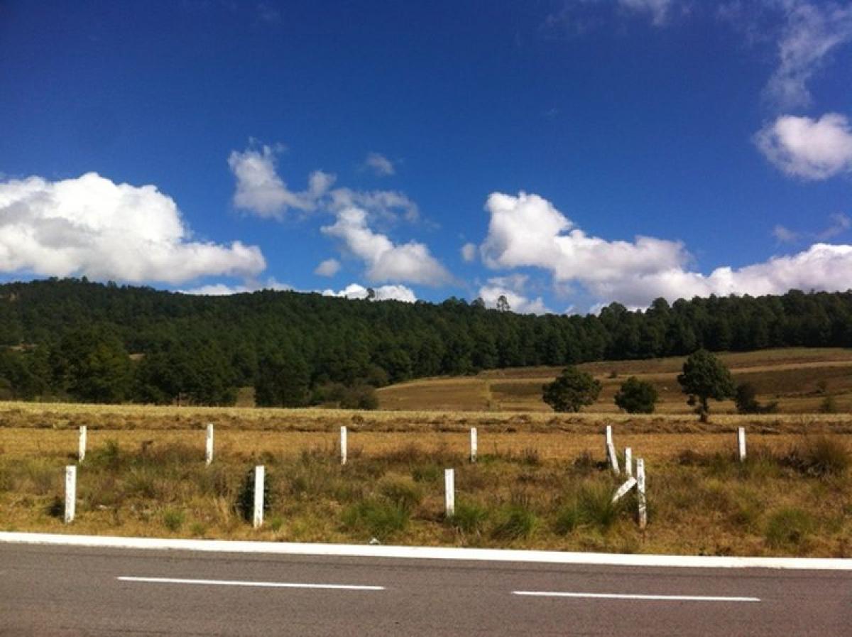 Terreno en Heroica Matamoros, Mexico No. 205437
