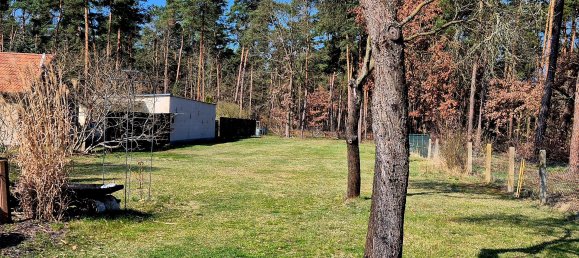 Casa de 4 habitaciónes en Oberspreewald-Lausitz, Germany No. 316141 8