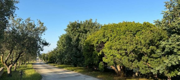 28 chambres Maison à Ostuni, Italy No. 135502 48
