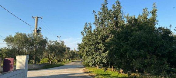 28 chambres Maison à Ostuni, Italy No. 135502 50