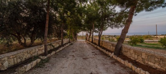 4 Schlafzimmer Villa in Paphos, Cyprus, Nr. 25099 15