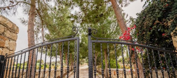 4 Schlafzimmer Villa in Paphos, Cyprus, Nr. 25099 14