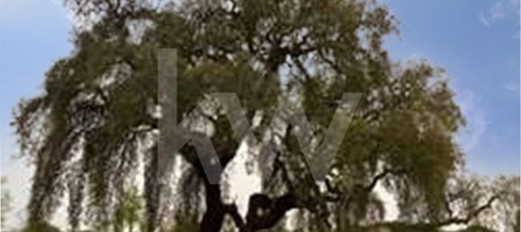 3 غرف نوم منزل في Torrao, Portugal رقم 68981 24