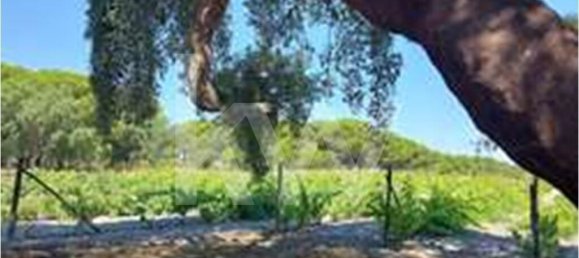 3 غرف نوم منزل في Torrao, Portugal رقم 68981 25