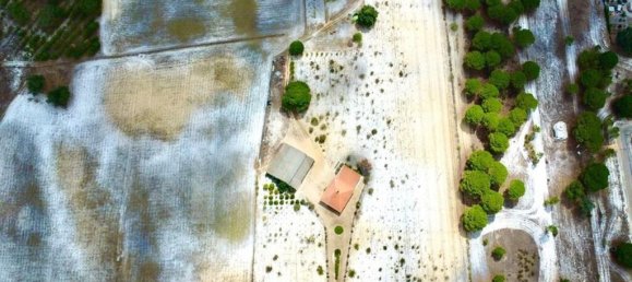 3 غرف نوم منزل في Torrao, Portugal رقم 68981 35