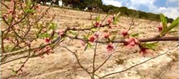 3 غرف نوم منزل في Torrao, Portugal رقم 68981 22