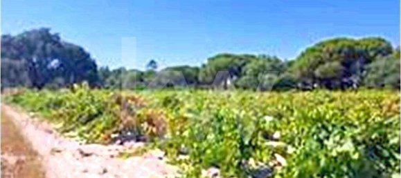 3 غرف نوم منزل في Torrao, Portugal رقم 68981 23