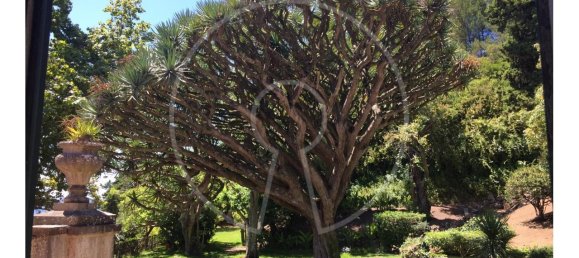 7 bedrooms Castles in Oeiras, Portugal No. 106511 22