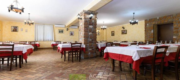 Grundstück in Artena, Italy 50000m², Nr. 24233 22