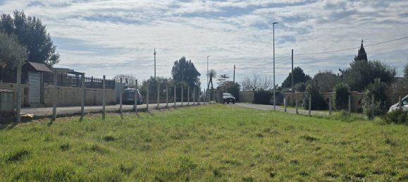 Terrain à Nettuno, Italy 1463m² No. 154966 5