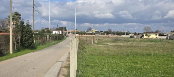 Terrain à Nettuno, Italy 1463m² No. 154966 9